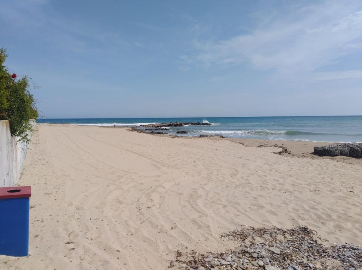 On The Beach النايت المظهر الخارجي الصورة